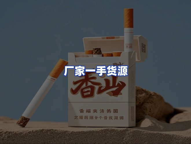 专业团队